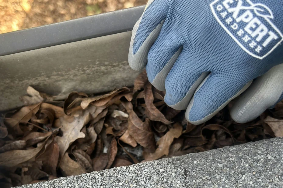 Farmington Gutter Cleaning